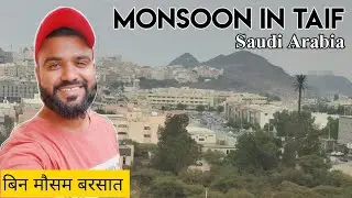 Saudi's best place in terms of weather | बिन मौसम के बारिश | Taif Saudi Arabia | Vlog Furkan Khan
