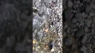 Water sounds | soothing music from water | 3 minutes free from tensions #watersounds #naturemusic