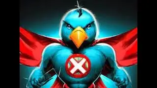 No More Twitter Bird