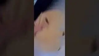 c&oacute;mo cuidar a tu capibara parte 7 titulo:nosotros estamos locos