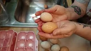 Selling Farm Fresh Eggs 🥚 How Our Chickens Pay for Themselves! | Homestead Life & Chitchat