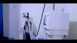 Manhal Specialist Hospital