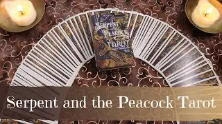 The Serpent and Peacock Tarot | First Impressions Flipthrough