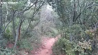 Hiking Faerie Glen Nature Reserve