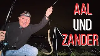 FishingTeamHeileit Zuschauerangeln | ANSITZ auf AAL UND ZANDER am MITTELLANDKANAL und am RHEIN