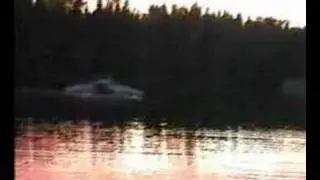 UFO crashlanded in lake in Sweden