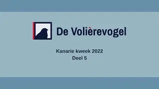 Kanarie kweek 2022 Deel 5