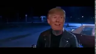 memes | The Trumpinator | 480