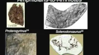 Extant Dodos' Fossil Record