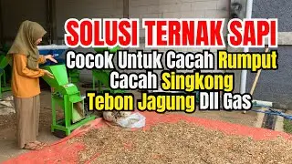 Punya Ternak Sapi ? Mesin Cacah Pakan BT3000 Paling Cocok Untuk Mengolah Pakanya #mesincoper