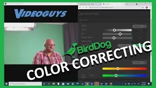 Taking a Look at BirdDog Color Tools