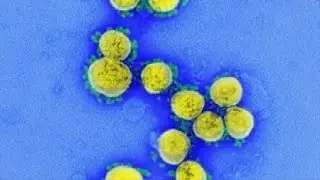 New 'Double Mutant' COVID strain has potential to cause chaos