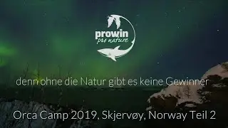 Orcas - Orca Camp Skjervoy, Norway 2019 With ProWIN - pronature  - part 2