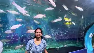 Mysore - 1 day Trip - some other places to Visit