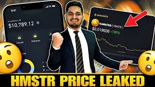 Hamester Kombat Withdraw start $5000 Airdrop| Hamster combat token price and earn more coins