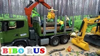 Bibo transporting timber in the forest and meeting a tiger