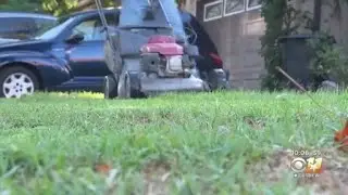 City of Dallas leaders could ban gas powered lawn equipment
