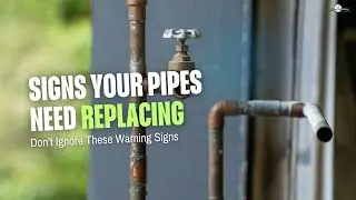 Signs Your Pipes Need Replacing | Don&rsquo;t Ignore These Warning Signs