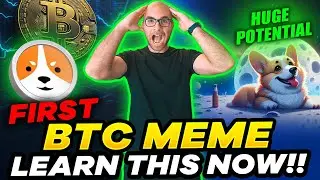 Exploring $WELSH: The Ultimate Guide to Bitcoin's First Meme Coin (HUGE Potential)