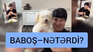 BABOŞ BİR G&Uuml;N ƏRZİNDƏ NƏLƏR YEYİR