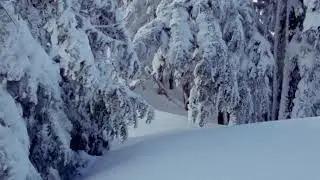 Academy Garden - Big Player (Official Music Video)