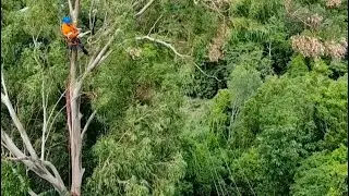 Tropical cyclone alfred (Crane day With ETS INFRASTRUCTURE MNGT.)