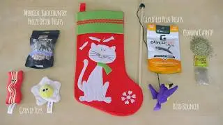 Cat Stocking Stuffers - PetStuff.com
