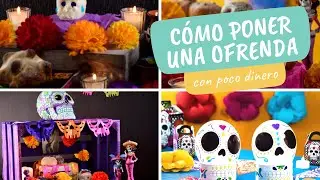 Cómo poner una ofrenda con poco dinero