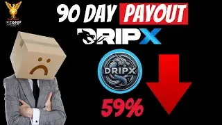 Crypto News - Drip Network Dripx 90 day payout update