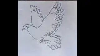 #dovedrawing#howtodrawadove#stepbystepdrawing#drawingtutorials#howtodrawstepbystep#easydrawing#dove