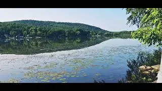The Second Book of MOSES Called EXODUS 35 - The Third Book of MOSES Called LEVITICUS