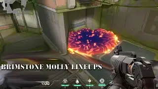 13 Brimstone Molly Post Plant Lineups for Fracture!