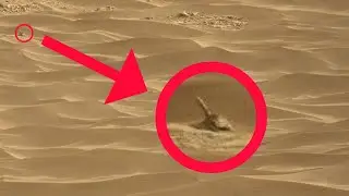 Perseverance Rover & Curiosity captured the strange image on Mars's surface and Latest image