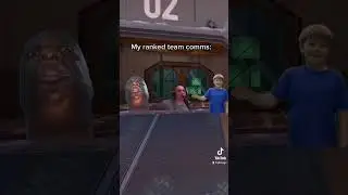 My ranked team comms be like..