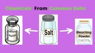 Chemicals from Common Salt | #commonsalt #sodiumhydroxide #bleachingpowder #class10th