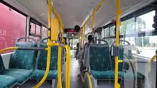 MAN NL313 Lion's City CNG #381 | PKM Tychy | Linia 505