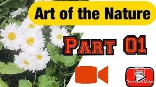 Art of the Nature