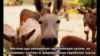 PJ4/NN5E PJ4/NT5V Остров Бонэйр. С сайта dxnews.com