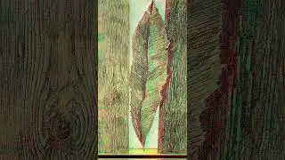 Surreal Mysteries of Max Ernst