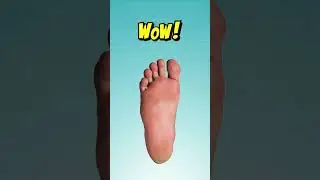 Largest Feet Ever (Guinness World Record)