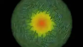 skrillex complicatie newclip.wmv