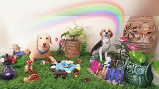 In Loving Memory Of My Dogs | DIY Miniature Garden | #shorts
