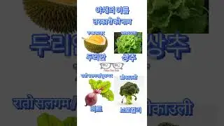 Vegetable names in Korean #epstopiknepal #koreanwordmeaninginnepali #koreanlanguage