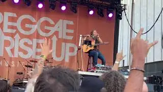 Mike Love Reggae rise up 2021