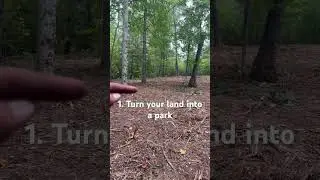 3 Reasons why landowners NEED to use a forestry mulcher  #forestrymulching #landclearing