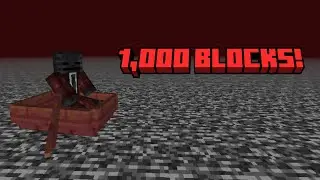 Sailing 1,000 Blocks on the Roof of The Nether! (Minecraft Challenge)