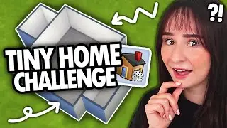 Building a TINY HOME using a RANDOM GENERATOR in The Sims 4