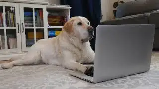 Store2Door - Western Farm Center's Pet Food Delivery Service in Sonoma County 2023 - :30