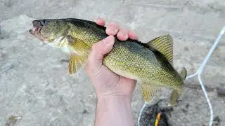 Ontario Walleye Fishing 101