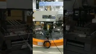 Automatic Vertical Injection Molding Machine with Robot